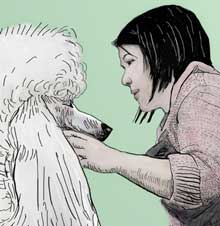 Grooming the White Poodle, pen and ink with washes, drawn using Painter software. Side view of white poodle being groomed, light sage green background.