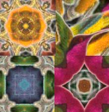 Used kaliedoscope tool in Painter to create colorful repeting quilt-like pattern using Birdland image.