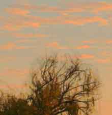 Suburban neighborhood at dawn, California.